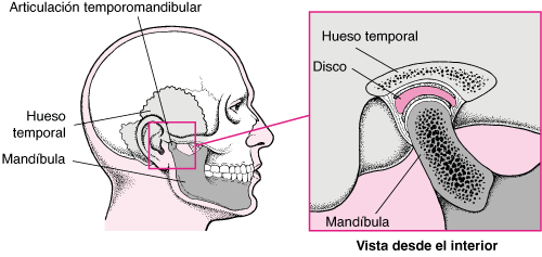 Influencia en tu cuerpo del síndrome de la articulación temporomandibular o ATM